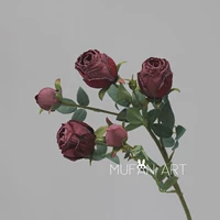 [Purple Red] Long Branch Coke Rose (5 голов) 64 см