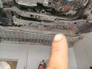 2022 Азиатский дракон