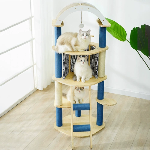 Кошка Рай Райт кошка поднимается кошка Западное кошачье дерево интегрированное меч, кошачья кошачья кошачья кошачья кошачья кошачья кошка, прыгающая кошачья кошка кошка кошка