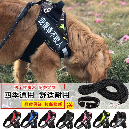 ДОК ТОГОВАЯ ВВОДА Ремень среднего класса Большой собака, ходящая собака, золотая задержка, веревка для собак, воротник цепь собаки