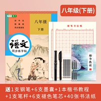 Китайский синхронный том 8 -го класса+отправка подарочного пакета отправки слов