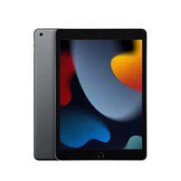 IPad 9 Grey