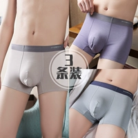 [Бактериальная внутренняя промежность B3] табак+голубь серого цвета+Таро -фиолетовый