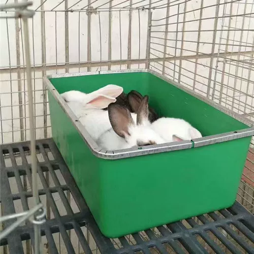 Производственная коробка для кролика, чтобы предотвратить кусание укусов, добыча для отопления доски, кролики кролика, кроликов, кроликов, кроликов, кроликов, кроликов, кроликов, кроликов, кроликов, кроликов