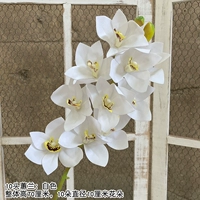 Роза красный 10 Cymbidium -Whit