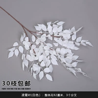 Озеро голубое Lingxiao Leaf Bai