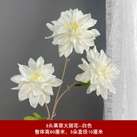 Фиолетовый 3-головый Laifei Dali Flower-White