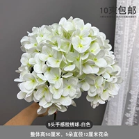 5 -Главная жвачка Hydrangea White