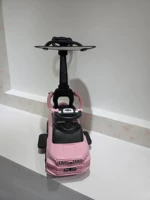 Роскошное розовое увеличение ручной