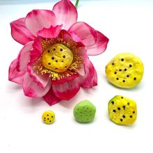 Цветок DIY шелковый материал чулки лотос пена эмуляция лотоса сердцевина лотос лотос лотос