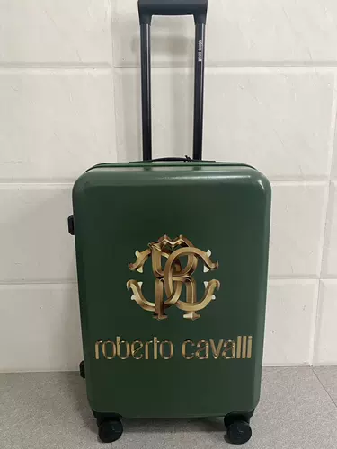 Самолет, чемодан, США