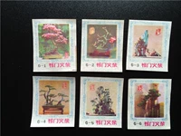 В 1980 -х годах фабрика Qimen Match Bonsai Art Spark 6x1 Pack Lao Bazhen