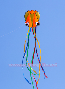 爱逛街为您找到章鱼风筝相关的宝贝,您可以在下面的板块中挑选喜欢的