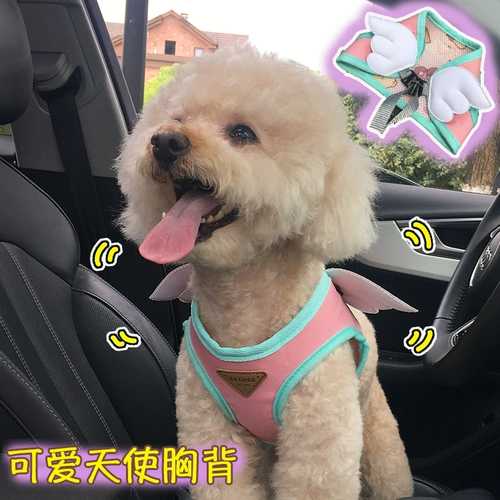 Angel Wings Pet vest Dog Tract Tract Trow Buled, собака, собака веревка маленькая собака Тедди Бару Цепи собаки