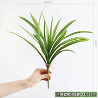 Мягкий папоротник в стиле H