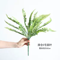 Распродажа №5 Лист папоротника