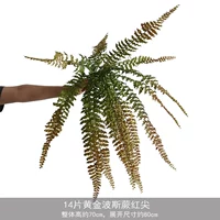 14 штук золотого персидского папоротника
