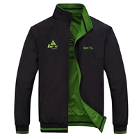 Фрукты зеленый 1518 черный/фруктовый зеленый