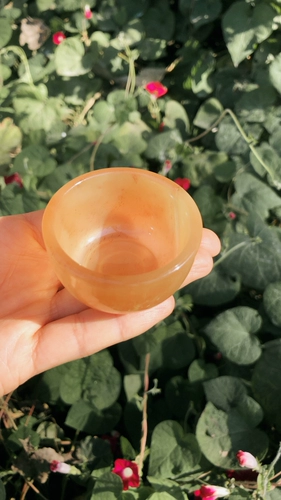 Натуральная чайная чашка, комплект для домашнего использования, чайный сервиз, бокал из грецкого ореха