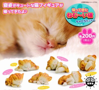 taobao agent Beam Japanese Catal Cat Sleeping Cat Sleeping Cat Sleeping Sleeping Little Orange Cat