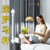 Товары от 为爱筑巢旗舰店