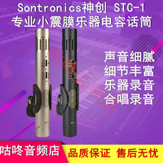 Конференция микрофон