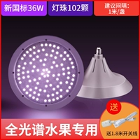 Высокий цвет новой терминала [36 Вт для фруктов 36W]