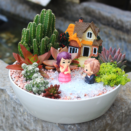 多肉植物组合盆栽防辐射肉肉拼盘套餐含木盒diy盆景创意微景观