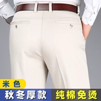 Бежевый [пружина и осенняя складка] 9088-1