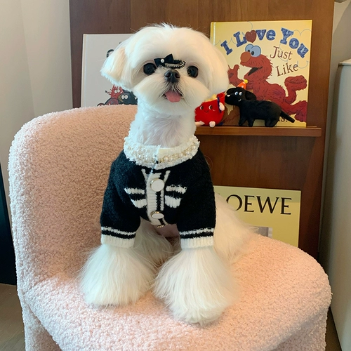 Собака Сяосиангфенг Малайзия морские свитера Малзис Юси Кот Кот Маленькая собака толстая зимняя одежда для домашних животных