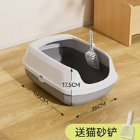 Звездный серо-мал (посвященный котенку в пределах 5 Catties) вход в высоту около 10,5 см высотой