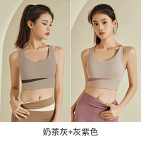 Серый+фиолетовый [высокая интенсивность профилактики на землетрясения]]