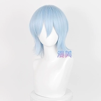 Смешанный 21 Wig+Hair Net
