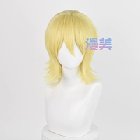 Смешанный 14 Wig+Hair Net