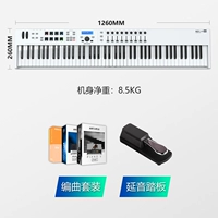 88 ключ белый+педаль+2T Массивный источник звука