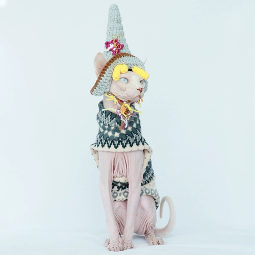 Sphinx безволосая одежда для кошачьей одежду. Пользовательская антиглась и анти -варена