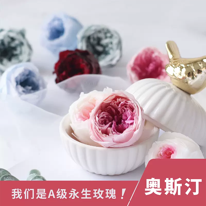 蔷薇白色粉色玛丽安永生花大地农园保鲜花新娘头饰diy浮游玻璃瓶