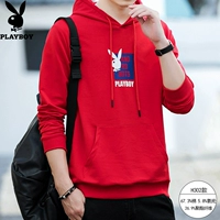 Кролик, красная толстовка с капюшоном, английский