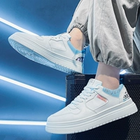 Baiyue (горячая модель)