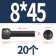 M8*45 [20]