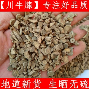 Achyranthes Sichuan Sichuan Astronomical Achyranthes 500G Небольшой магазин продает также на фестивале AM