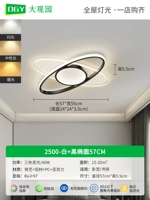 2500-White+Black-Ellipse 57cm-Three-Color Light 40W