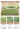 Energy Fruit Green Bed Sheet 40 Thread Count Cotton