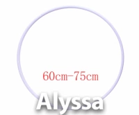 Alyssa Professional Art Gymnasticm