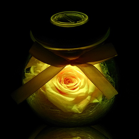 爱逛街为您找到水晶玻璃许愿瓶相关的宝贝,您可以在下面的板块中挑选