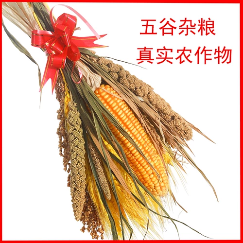Фермерский дом украсить кукурузные уши пшеницы, рисовые сорго сушитые цветы, овощи, зерно зерно, зерновые зерно