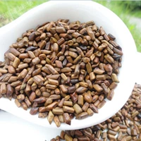 5 Catties Бесплатная доставка Высококачественная Cassia 500G Wuxi Online Grain Shop