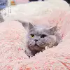 Товары от 丸丸家