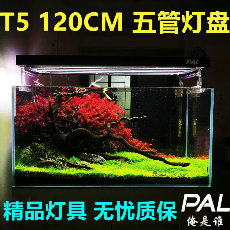 照明器材1t5四管灯架水草海水鱼缸龙鱼植物补光pal俺是谁灯盘