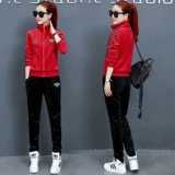 Зимний спортивный костюм, двусторонний флисовый демисезонный бархатный комплект для отдыха, коллекция 2021, увеличенная толщина